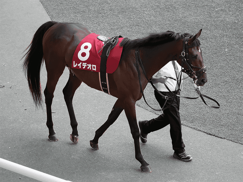 【宝塚記念2019予想】レイデオロの唯一の不安要素とは？