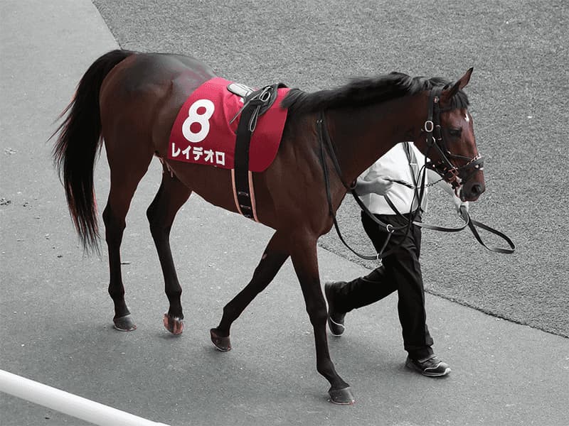 【宝塚記念2019予想】レイデオロの唯一の不安要素とは？