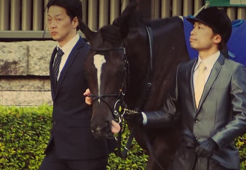 【エプソムC予想2019】ソウルスターリング、2年ぶりの美酒へ