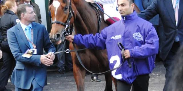 【英キングジョージ予想2020】エネイブルの巻き返しなるか？