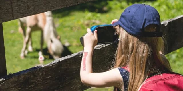 新種牡馬31頭がラインアップ、社台SSで種牡馬展示会