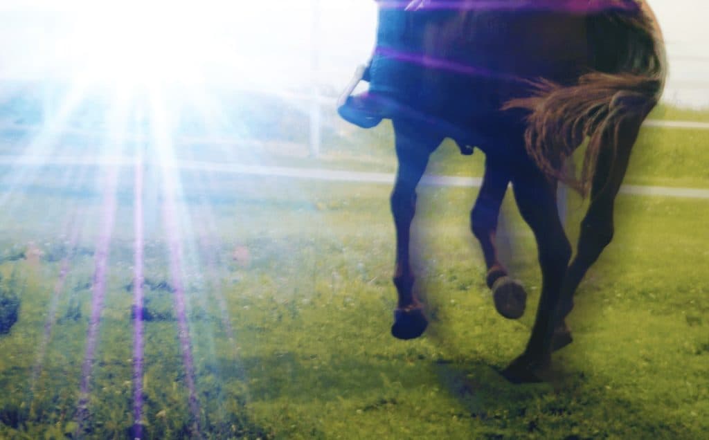 【中京2歳S予想2025】コラルリーフ✕西塚洸二騎手、新世代の主役候補に注目