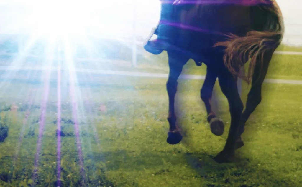 【中京2歳S予想2025】コラルリーフ✕西塚洸二騎手、新世代の主役候補に注目