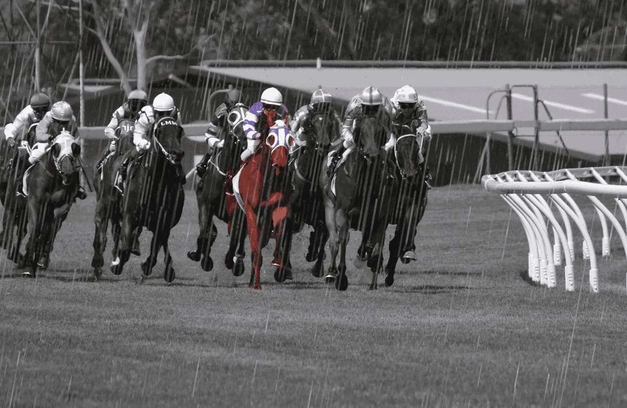 【函館記念2019予想】穴馬はアノ馬！重たい馬場ならチャンス十分？！