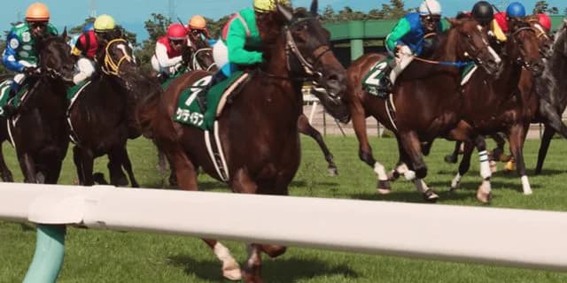 【新潟記念2019予想】夏競馬のラストを飾るハンデG3！レイエンダやユーキャンスマイルなど出走予定馬を考察