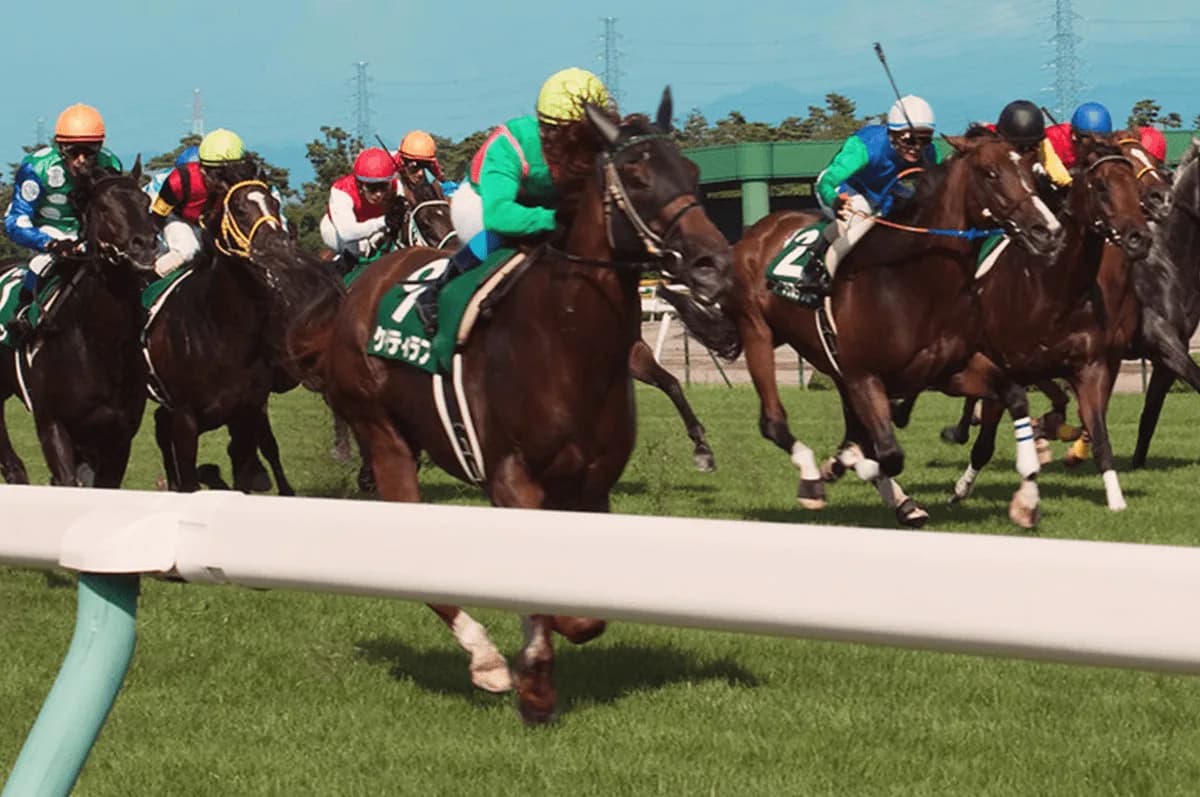 【アイビスSD予想2019】電撃の5ハロン戦!ライオンボスやダイメイプリンセスなど出走予定馬を考察