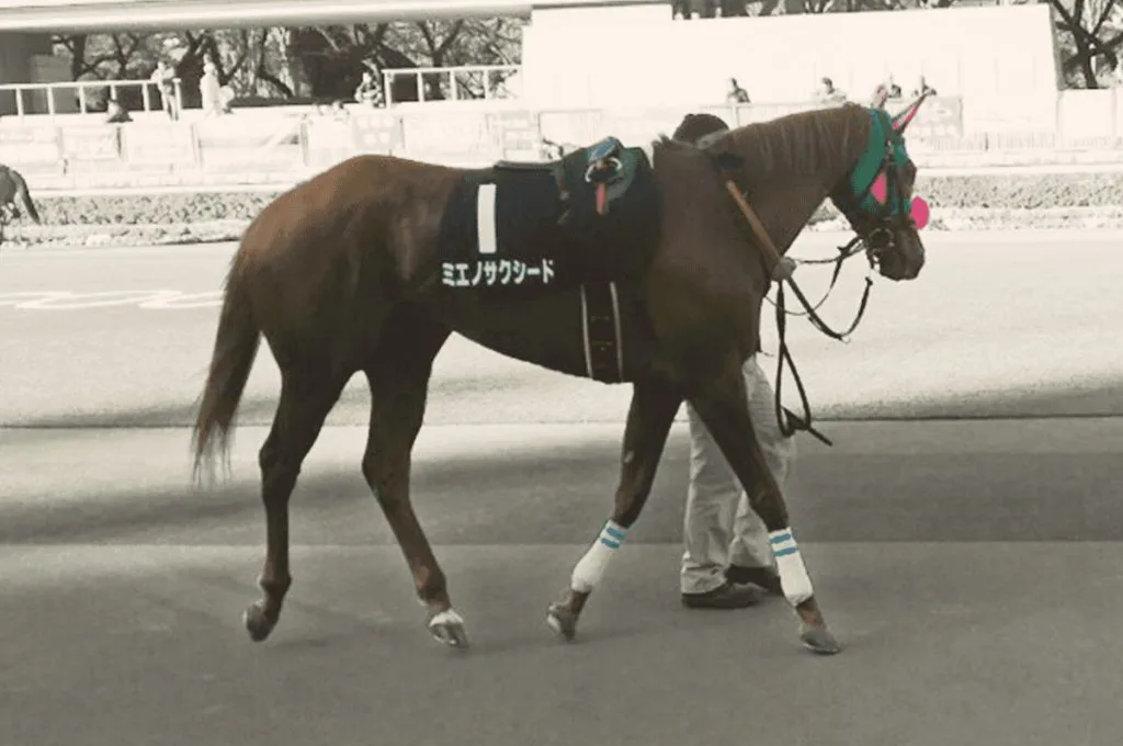 【中京記念2019予想】ミエノサクシード、今年は条件向く