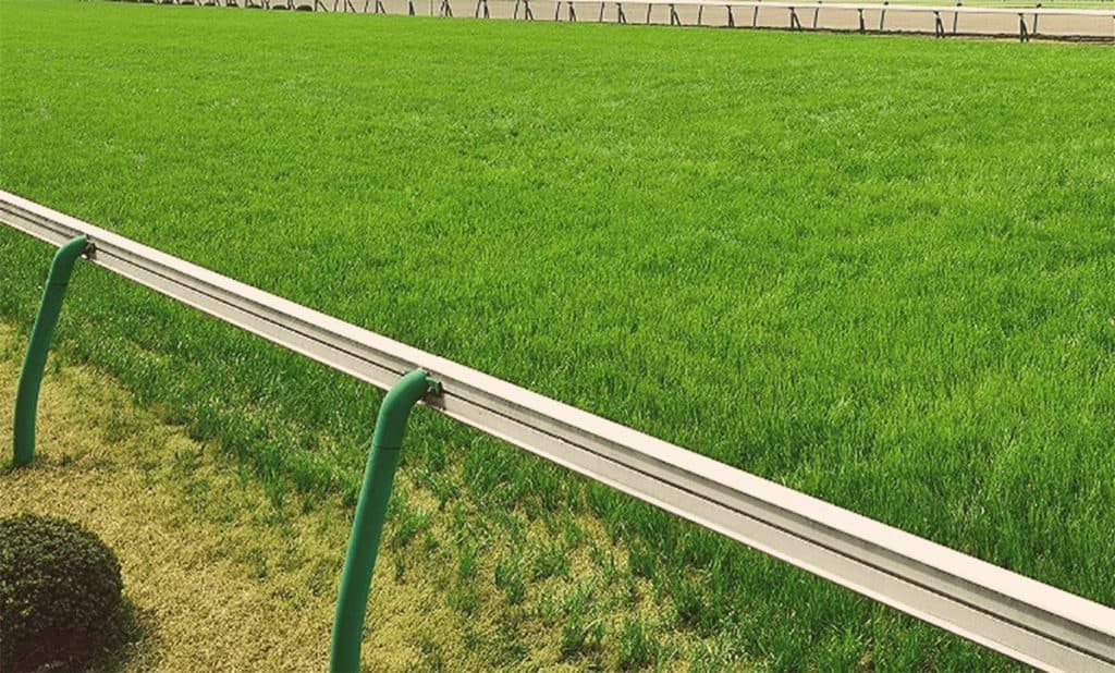 【関屋記念2019予想】新潟の馬場傾向は?先週の芝レースの脚質別・枠順別成績