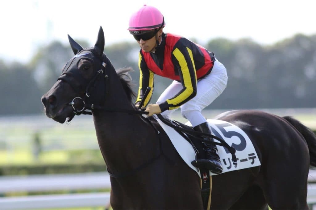 【キーンランドC予想2019】生粋のスプリンターか、一流ステイヤーの半妹リナーテ