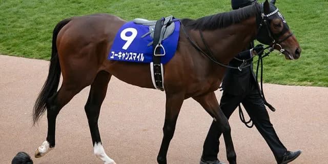 【新潟記念2019予想】ユーキャンスマイル、休み明けでも勝ち負け狙えるか？