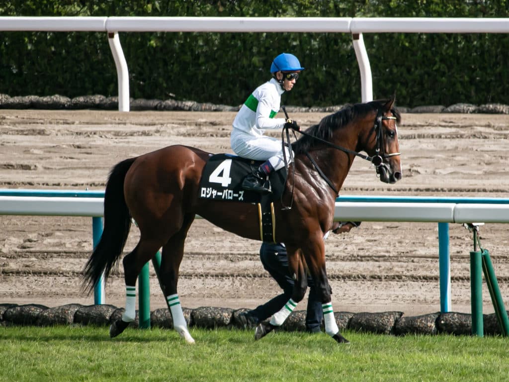 2019年のダービー馬ロジャーバローズが引退、種牡馬へ