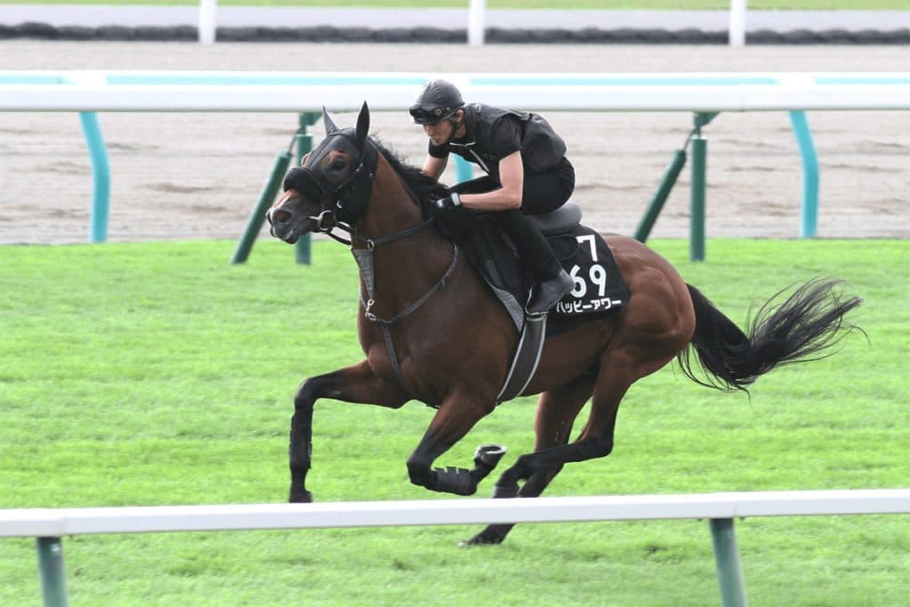 【キーンランドC予想2019】唯一の3歳馬ハッピーアワー、古馬相手でも引けは取らない