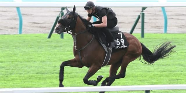 【キーンランドC予想2019】唯一の3歳馬ハッピーアワー、古馬相手でも引けは取らない