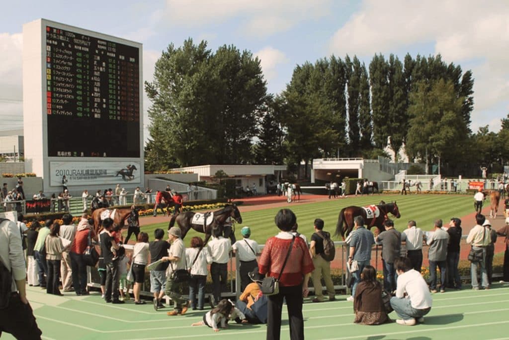 【札幌記念2023】プログノーシスは札幌記念へ、海外遠征からの帰国初戦