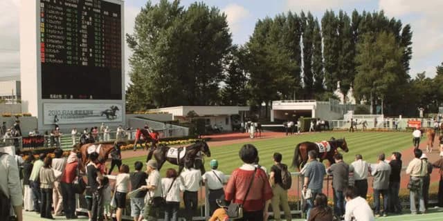 【キーンランドC予想2019】秋の大一番に向けた前哨戦！ダノンスマッシュやタワーオブロンドンなど出走予定馬を考察