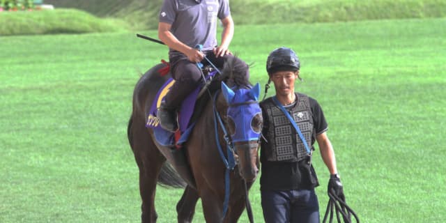 JRA重賞3勝のサングレーザーが引退、種牡馬に