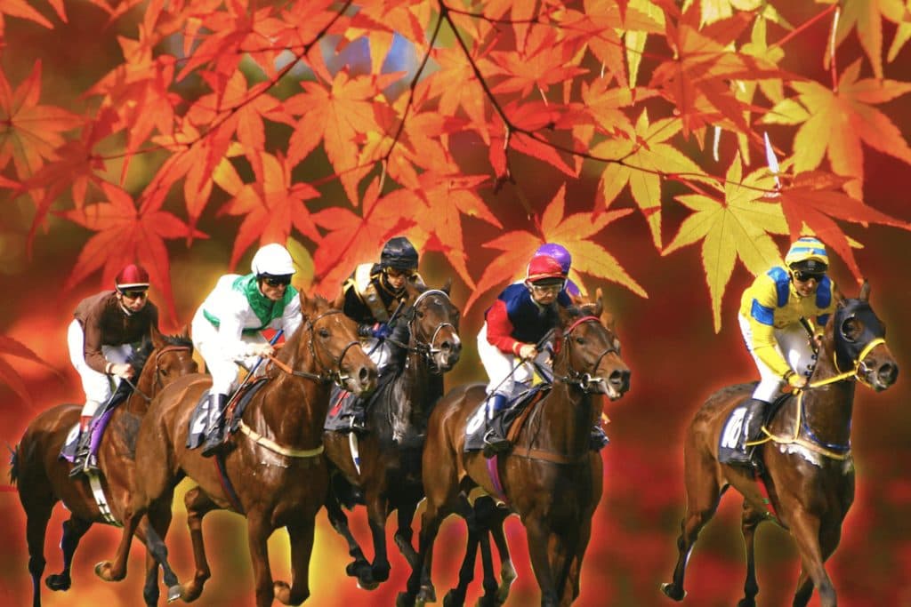 【京都大賞典2019予想】有力馬の秋始動戦！グローリーヴェイズやエタリオウなど出走予定馬を考察