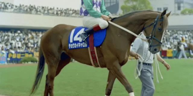 94年のオークス馬、チョウカイキャロルが亡くなる