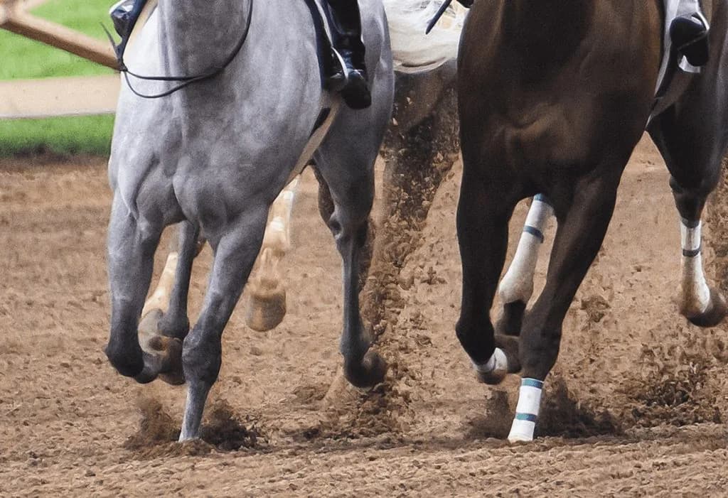 【博多ステークス2025予想】混戦必至のダート中距離戦、実績馬vs上がり馬が激突！