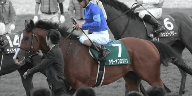 【セントウルS予想2019】タワーオブロンドンは危険な人気馬か？