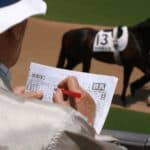 【JRA阪神ジュベナイルF2025】素質馬アランカール中心に浮上する4強候補を徹底分析