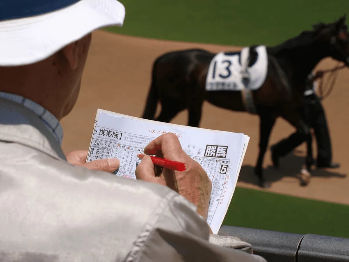 【金鯱賞2026予想】大阪杯への重要前哨戦！データが導く注目馬4頭