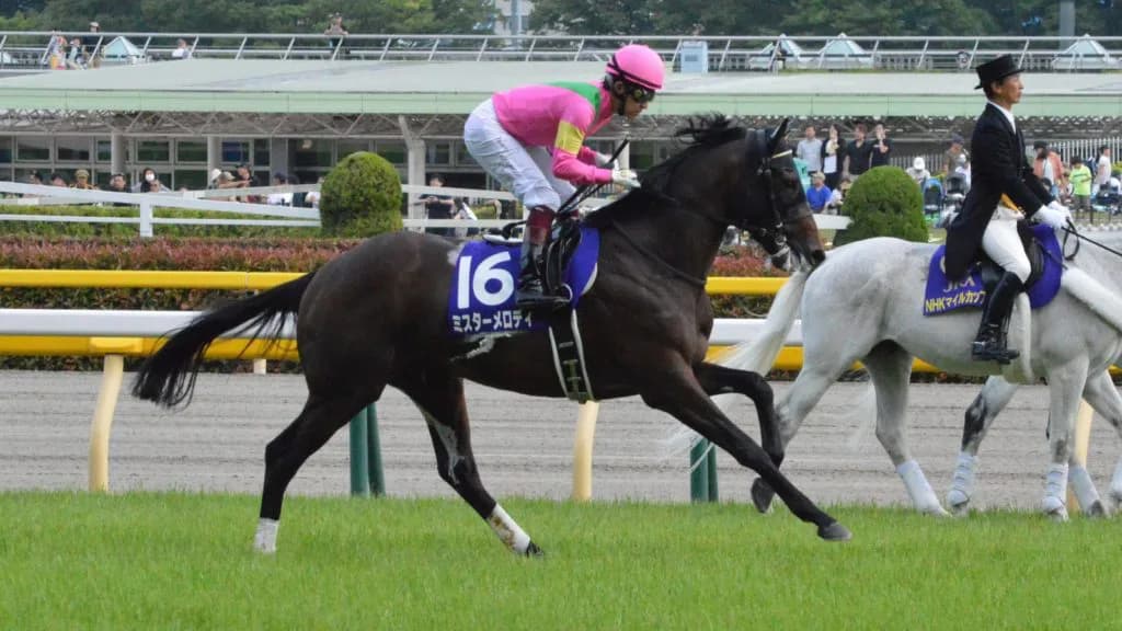 スプリンターズS・4着のミスターメロディ、ブリーダーズカップ参戦へ