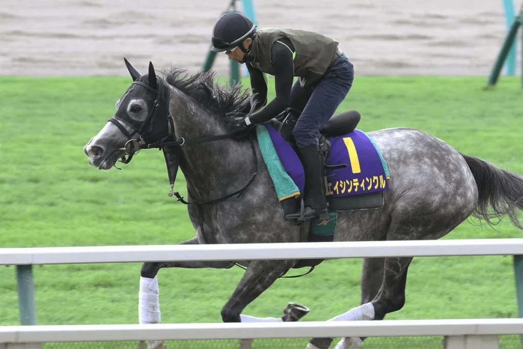 【府中牝馬S予想2019】エイシンティンクル、兄が得意だった舞台で重賞初V狙う