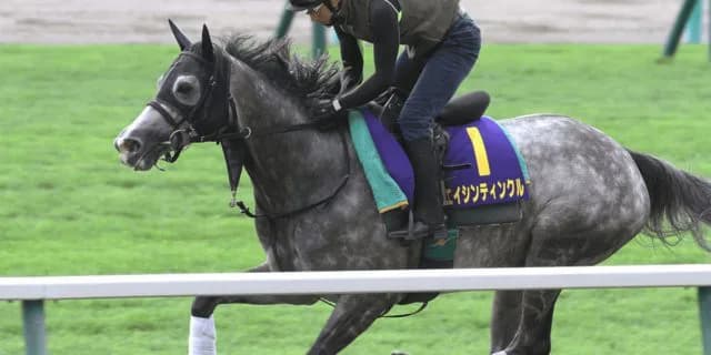 【府中牝馬S予想2019】エイシンティンクル、兄が得意だった舞台で重賞初V狙う