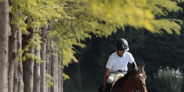 【武蔵野S予想2019】調教・最終追い切りが高評価の馬トップ3