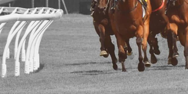 【秋華賞2019予想】牝馬3冠最終戦！ダノンファンタジーやクロノジェネシスなど出走予定馬を考察