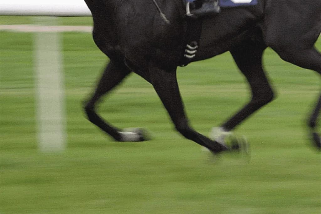 【秋華賞2019予想】今年は大混戦！伏兵エスポワールの激走期待