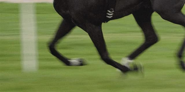 【秋華賞2019予想】今年は大混戦！伏兵エスポワールの激走期待