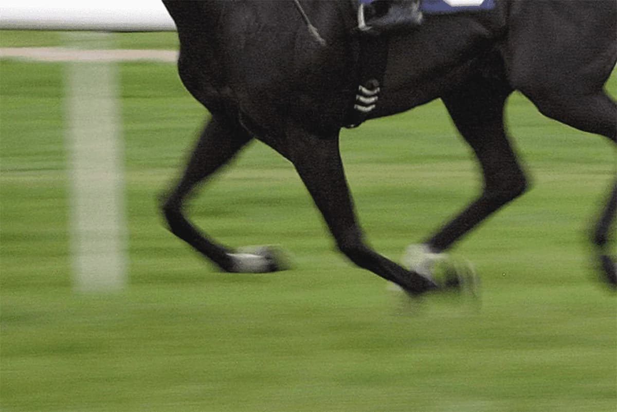 【秋華賞2019予想】今年は大混戦！伏兵エスポワールの激走期待