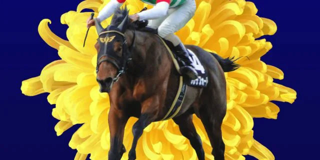 【菊花賞2019予想】最後の1冠はどの馬？ヴェロックスやワールドプレミアなど出走予定馬を考察