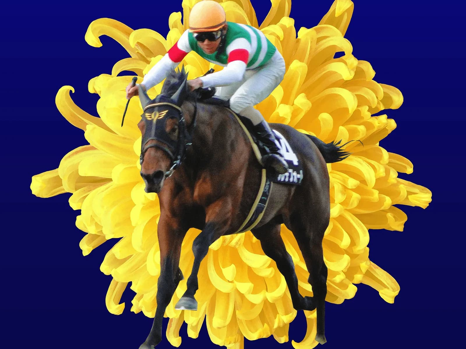 【菊花賞2019予想】最後の1冠はどの馬？ヴェロックスやワールドプレミアなど出走予定馬を考察