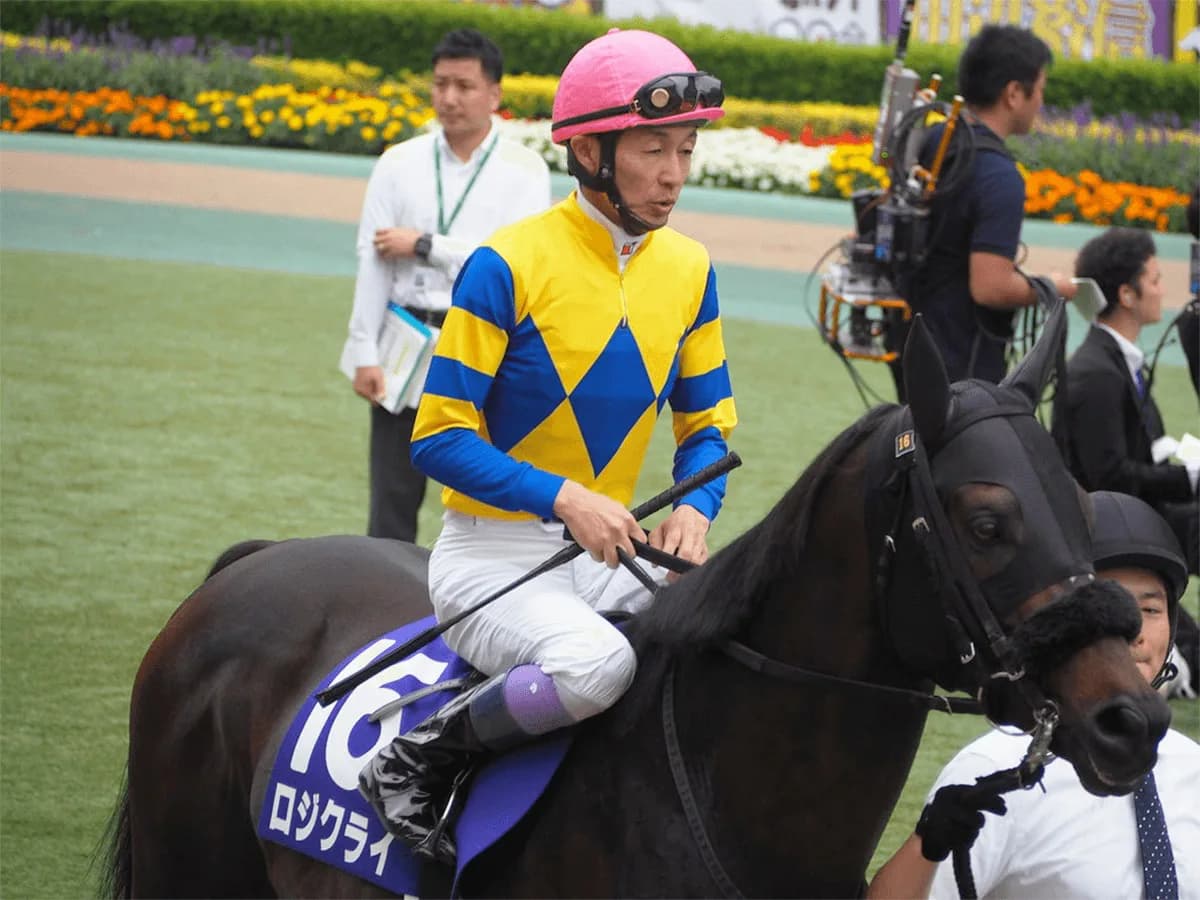 【富士S予想2019】ロジクライ、前走のイメージを払拭できるか？