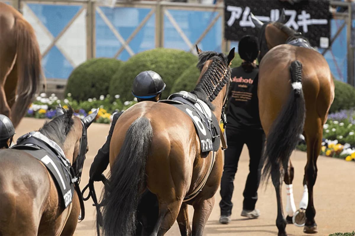 【注目新馬】有馬記念ウィークのメイクデビューに良血馬が多数集結！