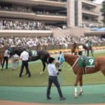 【ジューンS2026】東京替わりで一変あるか？叩き2戦目カネラフィーナと穴候補ディマイザキッドを徹底診断