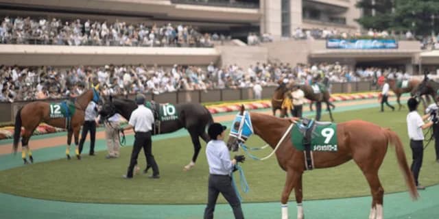 【共同通信杯2020予想】最終追い切り・調教内容が高評価の馬トップ3は？