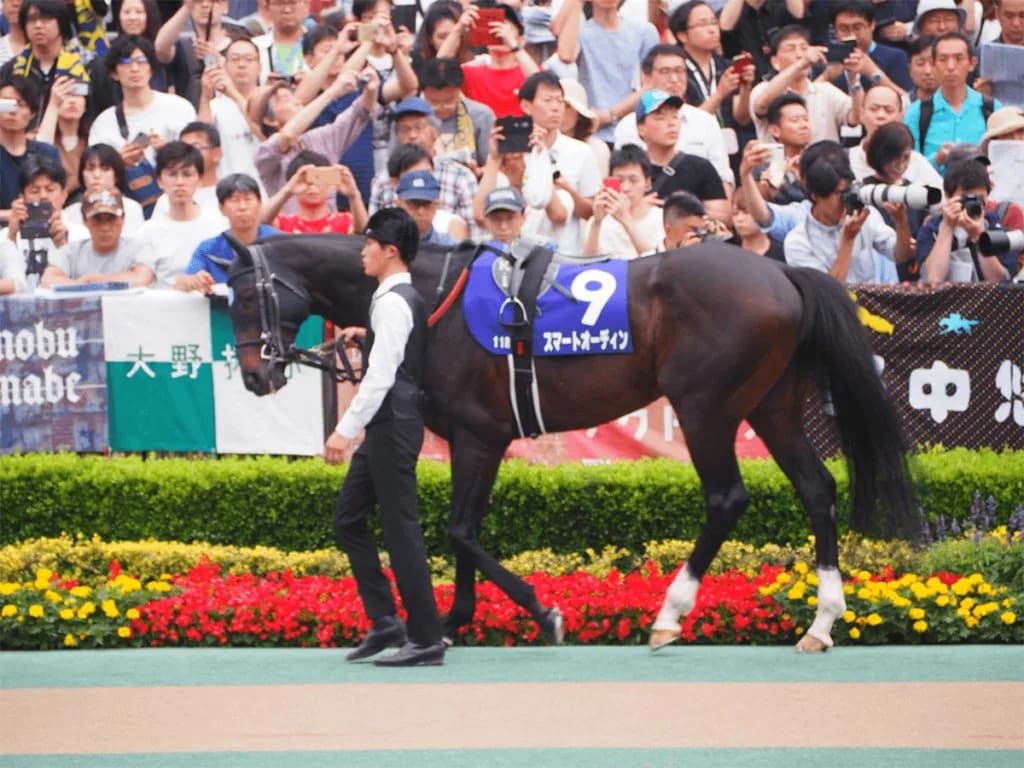 スワンステークス（2019）はベスト舞台、1400m巧者のスマートオーディン豪脚さく裂なるか