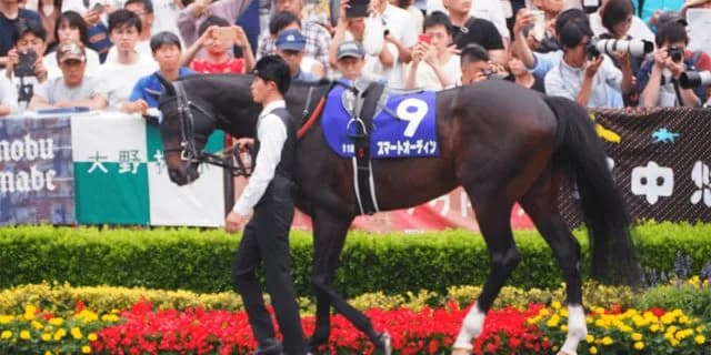 スワンステークス（2019）はベスト舞台、1400m巧者のスマートオーディン豪脚さく裂なるか