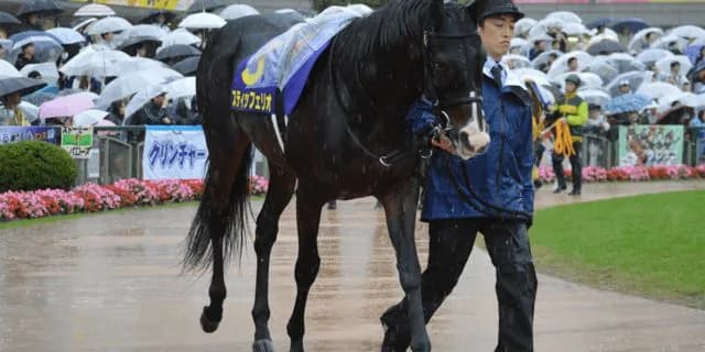 【宝塚記念2020予想】成長力が魅力のスティッフェリオ、悲願のG1初制覇へ