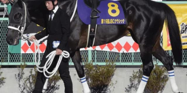 チュウワウィザードは戸崎騎手とサウジCへ