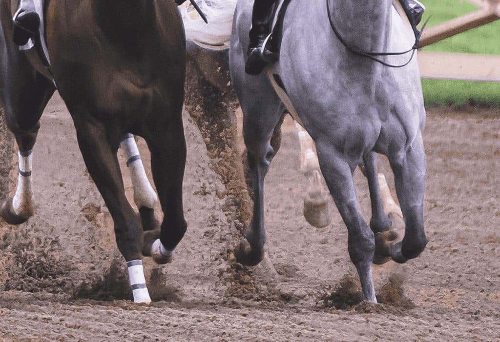 【武蔵野S予想2019】砂の王者を目指す強豪が集結！エアアルマスやサンライズノヴァなど出走予定馬を考察