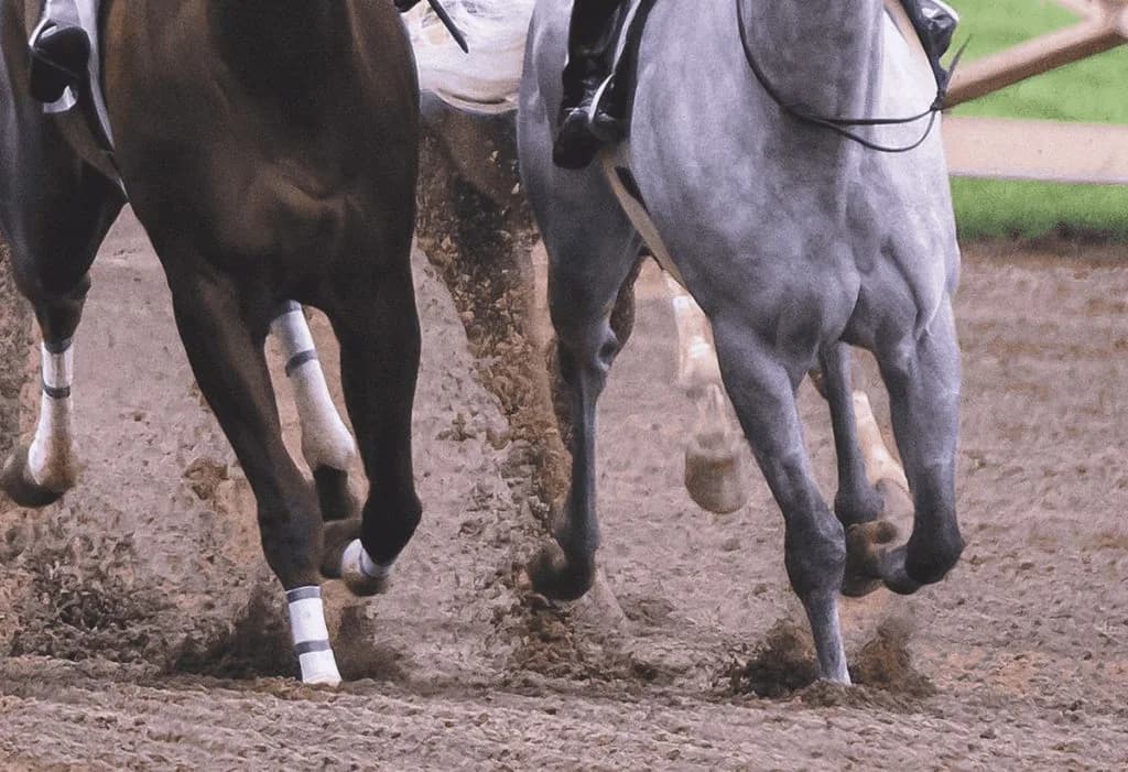 【武蔵野S予想2019】砂の王者を目指す強豪が集結！エアアルマスやサンライズノヴァなど出走予定馬を考察