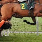 【中山大障害2025予想】エコロデュエル、叩き2戦目で上積み十分