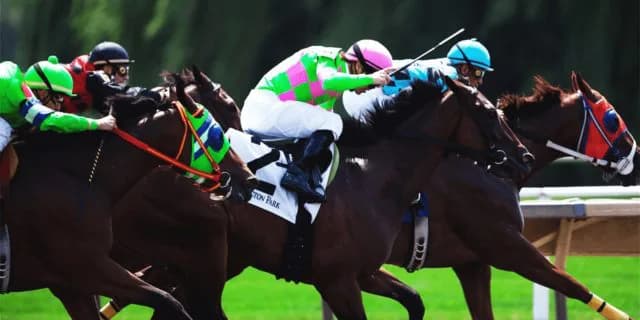 【函館2歳ステークス予想2024】2歳重賞開幕！サトノカルナバルやエンドレスサマーなど出走予定馬を考察