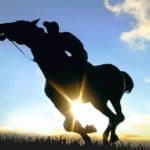 【共同通信杯2026予想】過去10年で6頭のG1馬を輩出中の出世レース！