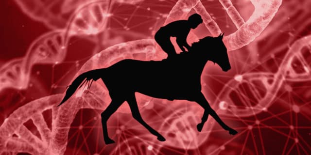 ジャパンカップ（2019）を血統面から分析。注目は母父ノーザンダンサー系